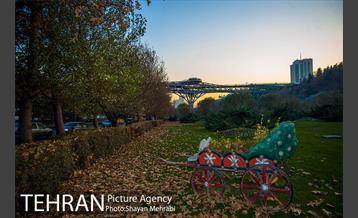 پاییز اراضی عباس آباد 32