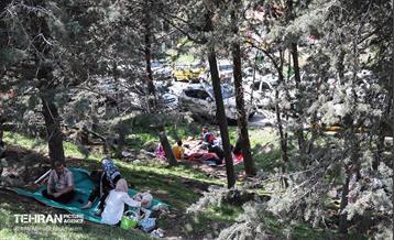 روز طبیعت در پارک جنگلی لویزان 15