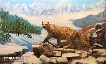 بازدید شهردار تهران از مجموعه پارک پردیسان 23