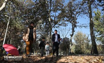 گذر پاییزی بوستان بعثت 22