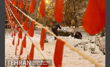 بارش اولین برف پاییزی تهران 33