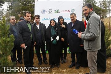 آغاز عملیات اجرایی نهضت درختکاری پردیس گردشگری 20