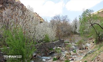 طبیعت بهاری روستای سنگان 9