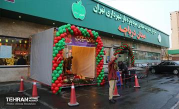 بازدید مدیرعامل سازمان تره‌وبار از میادین میوه 35