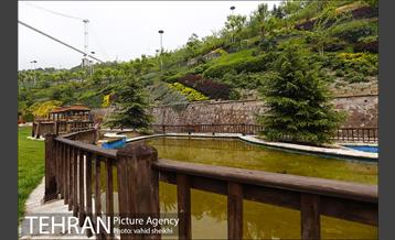 بوستان نهج البلاغه در یک روز بارانی 22