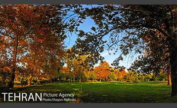 طبیعت پاییزی بوستان لاله 1