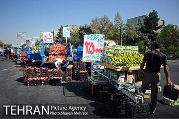 میوه فروشان خیابانی 3