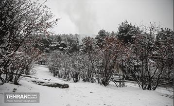روز برفی تهران - 2 44