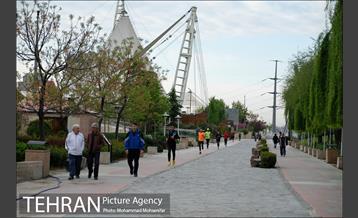 پیاده روی ۷۰۰ نفری در اراضی عباس آباد 3