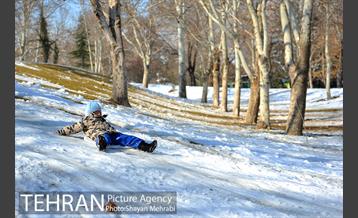 فصل زمستان در بوستان ملت 48