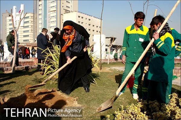 آیین درختکاری در منطقه فرهنگی و گردشگری عباس آباد  20