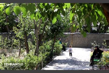 افتتاح بوستان شهدای خدمت و ۲۱۰ پروژه منطقه ۱۰ 6