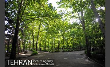 بوستان لاله 35