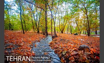 بوستان جنگلی چیتگر 39