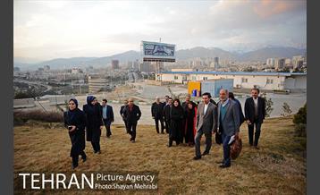 کاشت شش نهال درخت زیتون با حضور کارگرداران سینمای ایران 2