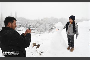 صبح آدینه برفی  13