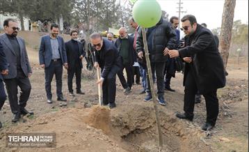 غرس ۲۷۸۲ نهال در سرخه‌حصار به یاد درگذشتگان جامعه پزشکی 22