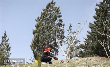 روز طبیعت در پارک جنگلی لویزان 21