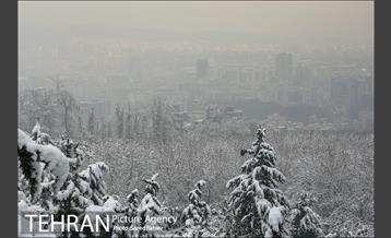 برف زمستانی پارک جمشیدیه 6