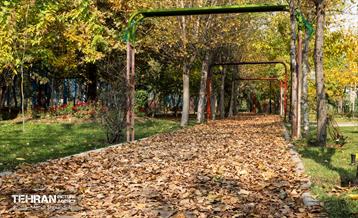 سمفونی رنگ های پاییزی - بوستان اندیشه 1