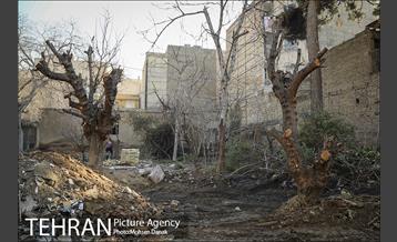 تاریخ رها شده؛ باغ کیهانی 6