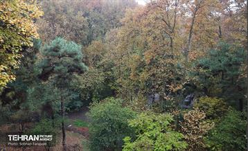 طبیعت پاییزی مجموعه فرهنگی تاریخی سعدآباد  38