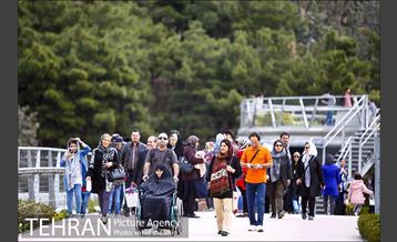 پل طبیعت در تعطیلات نوروز 9