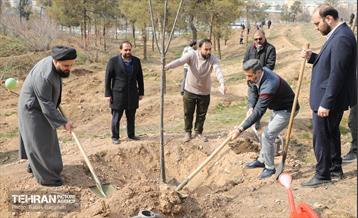 غرس ۲۷۸۲ نهال در سرخه‌حصار به یاد درگذشتگان جامعه پزشکی 13