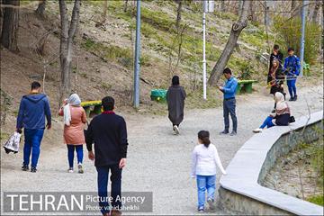 بوستان طالقانی 7