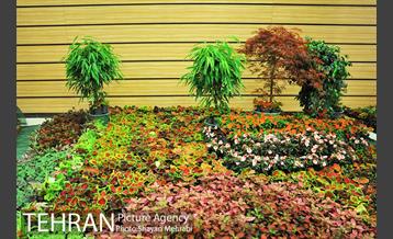 نمایشگاه بین المللی گل و گیاه 4