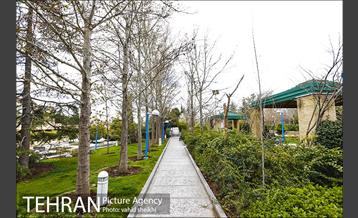 بوستان گفتگو 6