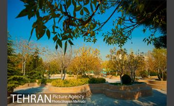 پاییز باغ موزه قصر 22