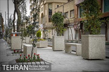 باز پیرایی خیابان 50 ساله 25
