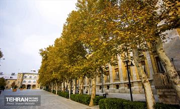 پاییز میدان مشق 26