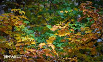 سمفونی رنگ های پاییزی - دربند 10