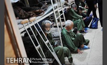 گرمخانه ها، دور از سرما 26