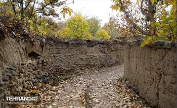 طبیعت پاییزی کوچه باغ‌های محله کن 13