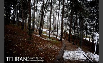 بارش برف پاییزی در بوستان طالقانی 25