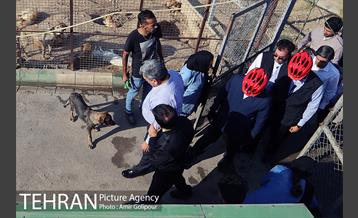 بازدید پیروز حناچی شهردار تهران از دهکده مهربانی 4