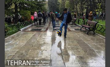 روز طبیعت بارانی در بوستان ملت 14