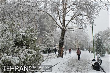 بارش اولین برف پاییزی در تهران 27