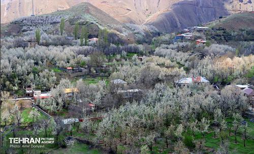 طبیعت بهاری روستای سنگان 1