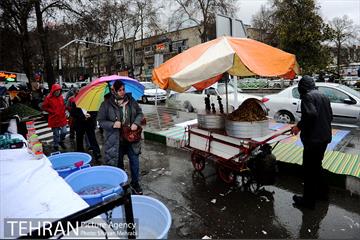 بارش باران در تهران 9