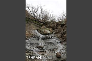 وردیج ، دنیایی از زیبایی 12