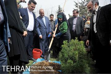 مراسم درختکاری به مناسبت روز مادر 38