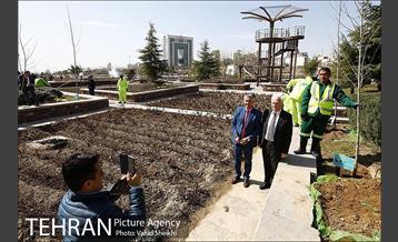 آیین کاشت درخت صلح و دوستی 45