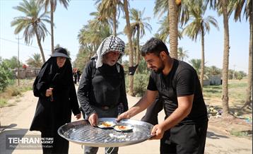 پیاده روی اربعین حسینی؛ طریق العلماء 8