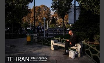 میدان تجریش 8