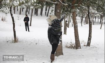روز برفی تهران - 2 5