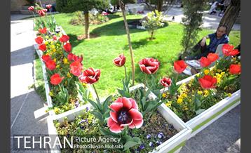 روز طبیعت در بوستان ساعی 29